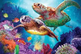 פאזל של Ocean Life