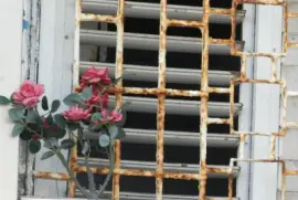 Flowers in the window jigsaw puzzle