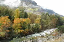 naturaleza jigsaw puzzle