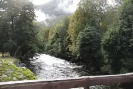 naturaleza jigsaw puzzle