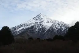 naturaleza jigsaw puzzle