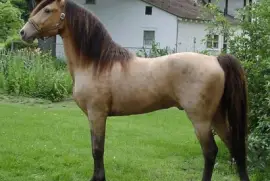 Campagne jigsaw puzzle