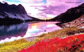 imagem jigsaw puzzle