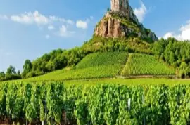 Imagem jigsaw puzzle