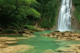 Imagem jigsaw puzzle