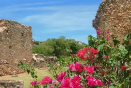 Isabela,Puerto Rico jigsaw puzzle