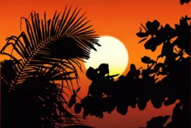 Imagem jigsaw puzzle