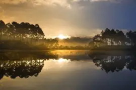 Imagem jigsaw puzzle