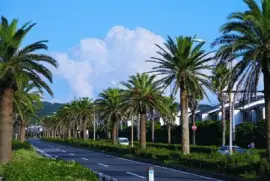 Imagem jigsaw puzzle