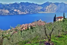 naturaleza jigsaw puzzle