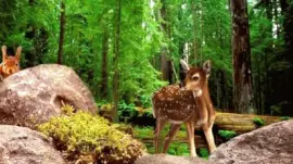 Deer jigsaw puzzle