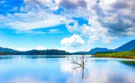 Imagem jigsaw puzzle