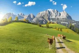 Imagem jigsaw puzzle