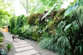 Imagem jigsaw puzzle