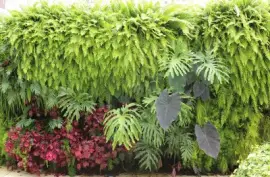 Imagem jigsaw puzzle