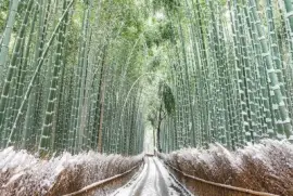 imagem jigsaw puzzle