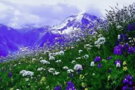 imagem jigsaw puzzle