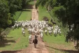 JR 032 jigsaw puzzle