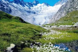 imagem jigsaw puzzle