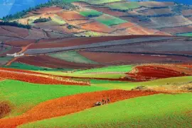 imagem jigsaw puzzle