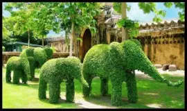 imagem jigsaw puzzle