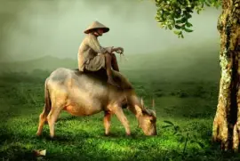 Imagem jigsaw puzzle