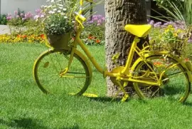 yellow bike