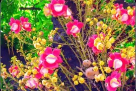 imagem jigsaw puzzle