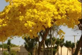 imagem jigsaw puzzle