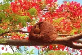 imagem jigsaw puzzle