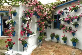 Patio de Cordoba jigsaw puzzle