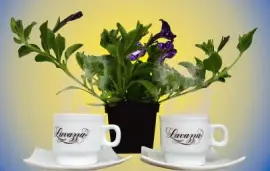 Imagem jigsaw puzzle