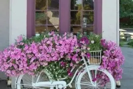 naturaleza jigsaw puzzle