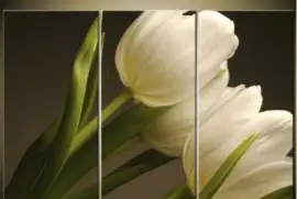 VENTANA jigsaw puzzle