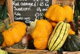 Autumn Squash Pumpkins