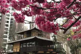 imagem jigsaw puzzle