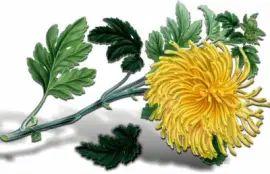 imagem jigsaw puzzle