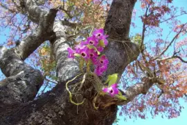 imagem jigsaw puzzle