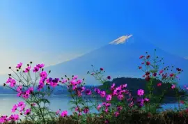 imagem jigsaw puzzle