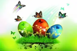 è´è¶ç‚«å½©çŽ«ç‘°