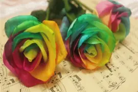 çŽ«ç‘° jigsaw puzzle