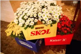 פאזל של simples