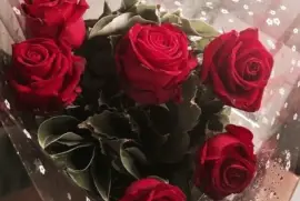 Rosas