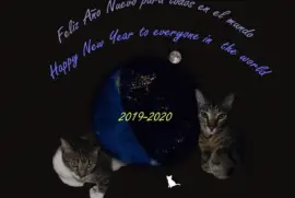 Happy new year for everyone  in the word