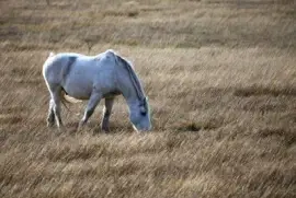 Brunch On A Windy Day