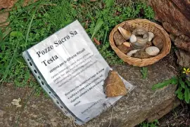 offerte alla dea Acqua, pozzo sacro sa testa