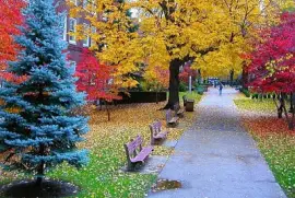 פאזל של naturaleza