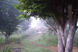 amanecer de cuento jigsaw puzzle