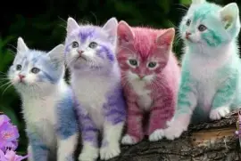 פאזל של COLORINES