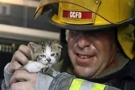 פאזל של DSC00006